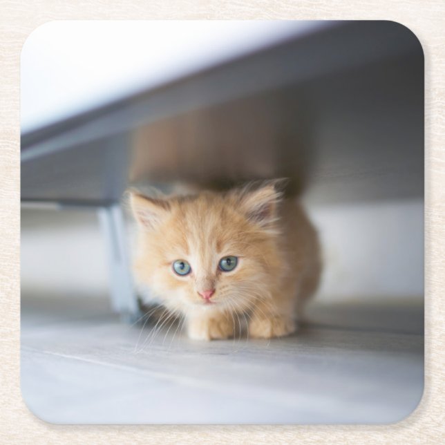 Cutest Baby Animals | Fluffy Orange Kitten Underlägg Papper Kvadrat (Framsidan)