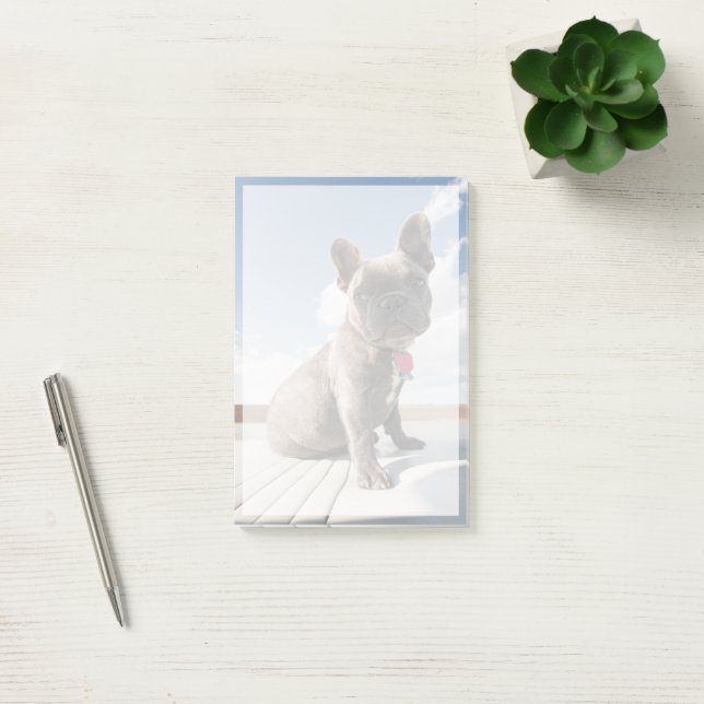 Cutest Baby Animals | French Bulldog Boating Post-it Block (Kontor)