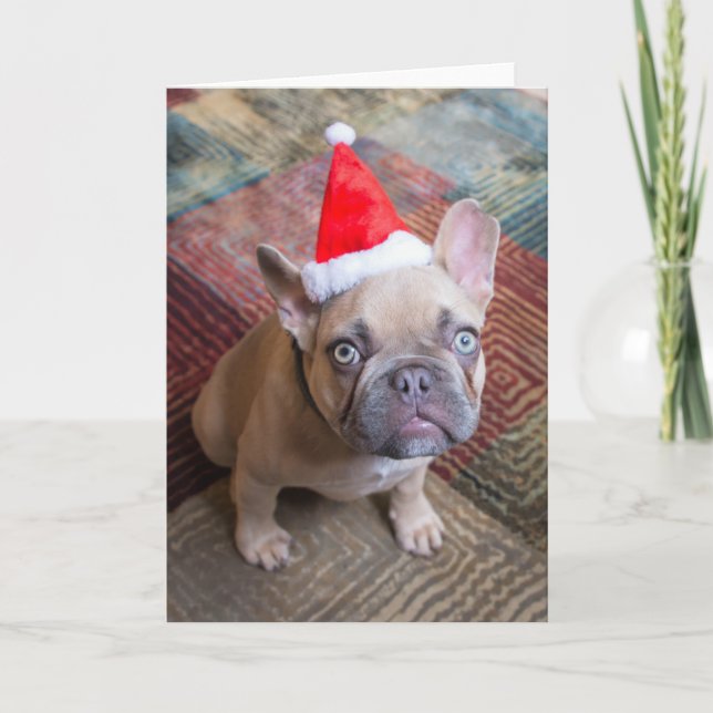 Cutest Baby Animals | French Bulldog Christmas Kort (Framsida)