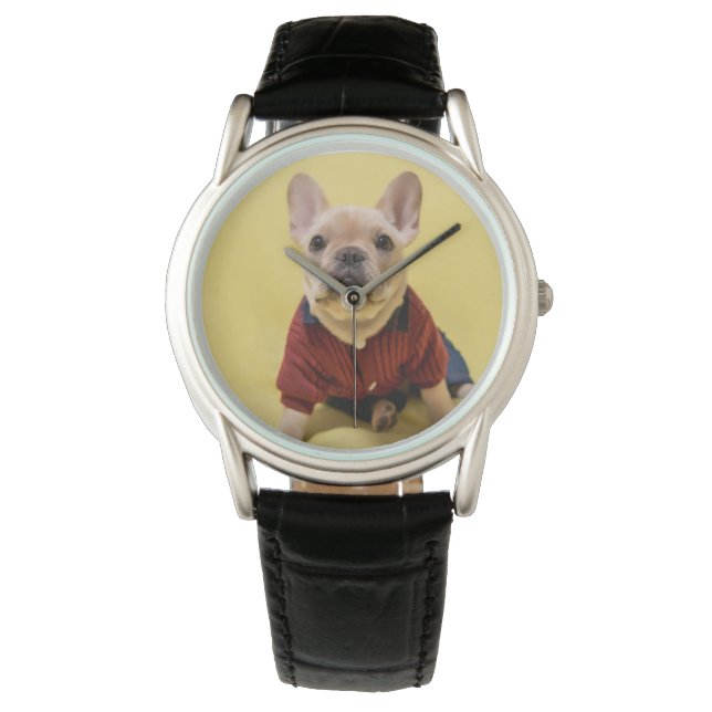 Cutest Baby Animals | French Bulldog Dressed Armbandsur (Framsida)