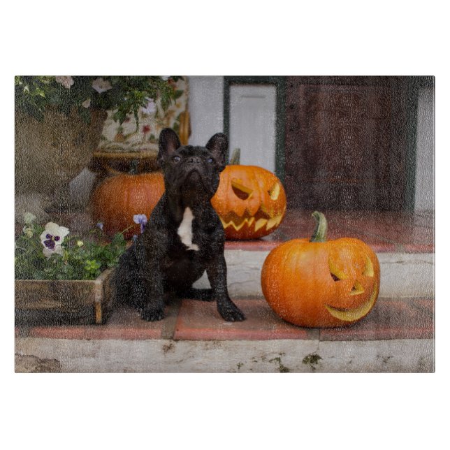 Cutest Baby Animals | French Bulldog Halloween (Framsidan)