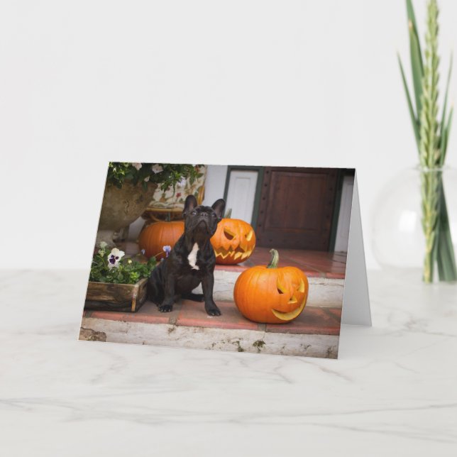 Cutest Baby Animals | French Bulldog Halloween Kort (Framsida)