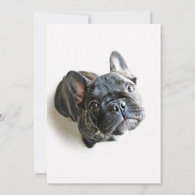 Cutest Baby Animals | French Bulldog Look Up Tack Kort (Framsida)