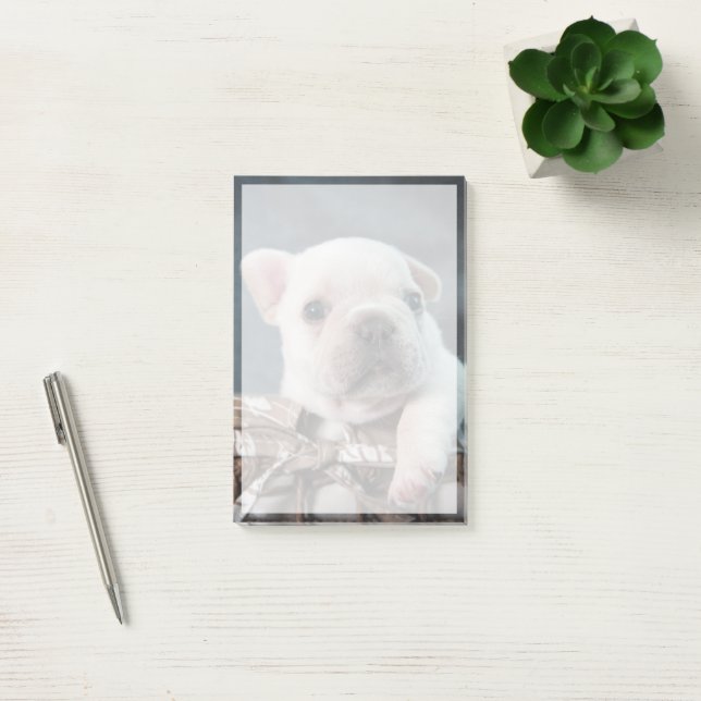 Cutest Baby Animals | French Bulldog Post-it Block (Kontor)