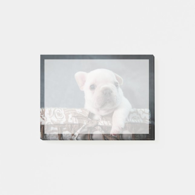 Cutest Baby Animals | French Bulldog Post-it Block (Framsida)