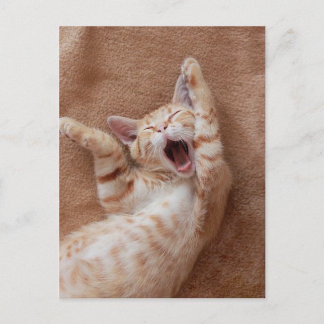 Cutest Baby Animals | Ginger Kitten Yawning Vykort (Framsida)