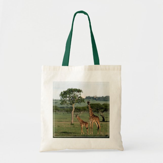 Cutest Baby Animals | Giraffe Calf & Mama Tygkasse (Framsidan)