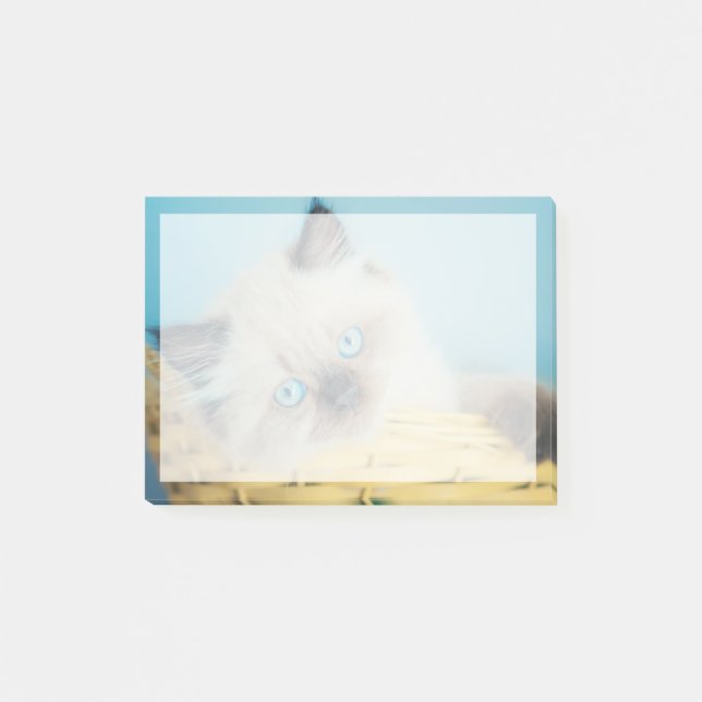 Cutest Baby Animals | Himalayan Seal Point Cat Post-it Block (Framsida)
