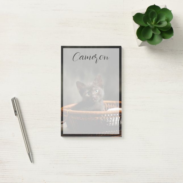 Cutest Baby Animals | Kitten in Basket Post-it Block (Kontor)