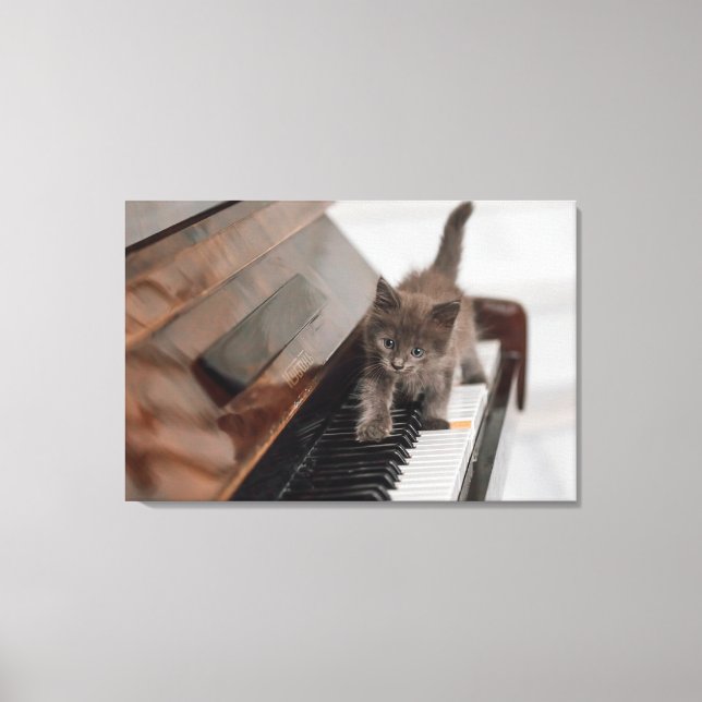 Cutest Baby Animals | Kitten on Piano Canvastryck (Framsida)
