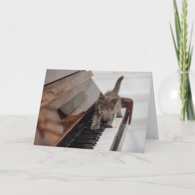 Cutest Baby Animals | Kitten on Piano Kort (Framsida)