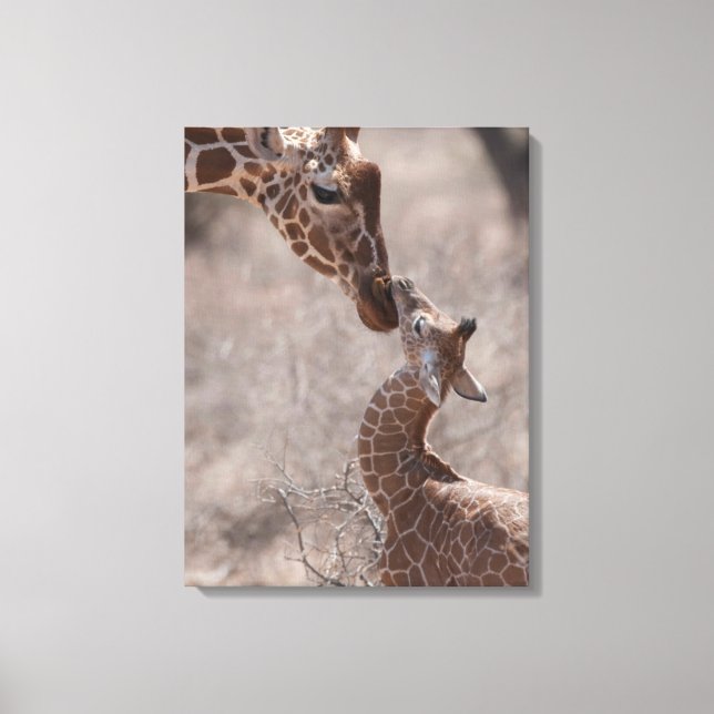 Cutest Baby Animals | Mother and Baby Giraffe Canvastryck (Framsida)