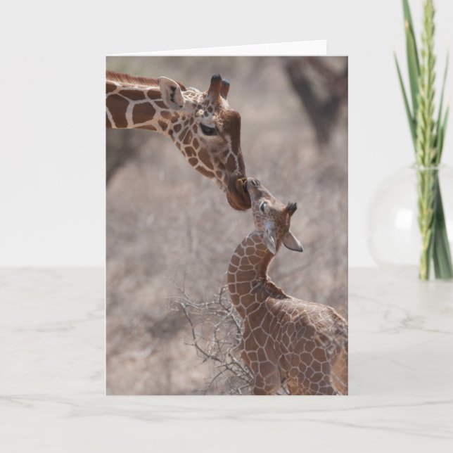 Cutest Baby Animals | Mother and Baby Giraffe Kort (Framsida)