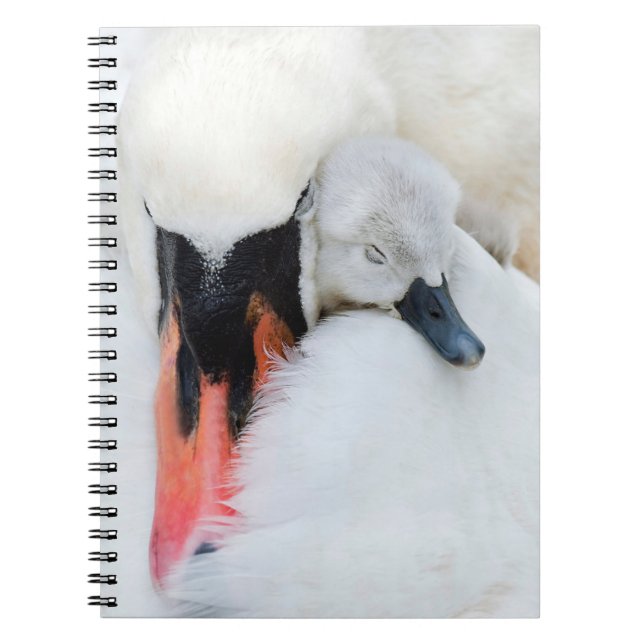 Cutest Baby Animals | Mother & Baby Mute Swan Anteckningsbok (Framsidan)