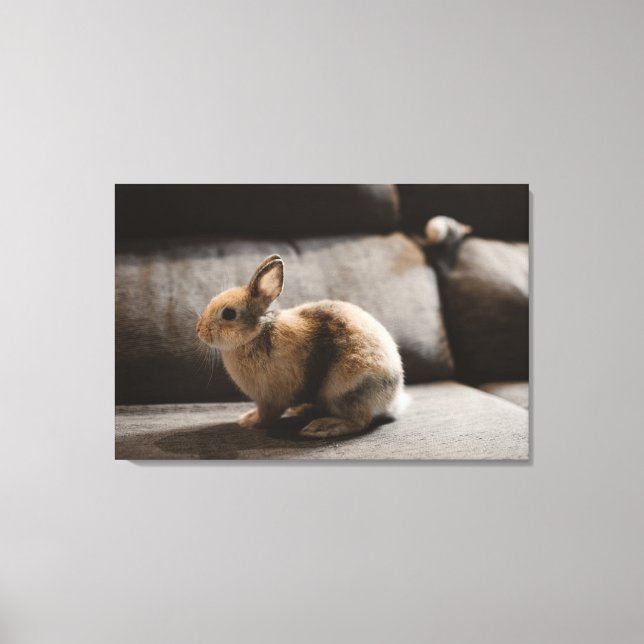 Cutest Baby Animals | Netherland Dwarf Rabbit Canvastryck (Framsida)