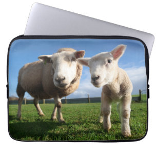 Cutest Baby Animals Newborn Lamb & Mama Laptop Fodral