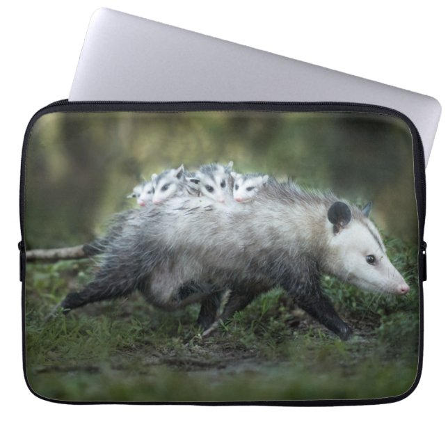 Cutest Baby Animals | Opossum Mom & Kids Laptop Fodral (Framsidan)