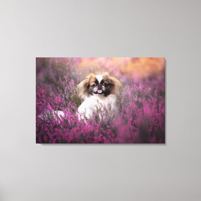 Cutest Baby Animals | Pekingese Puppy Canvastryck (Framsida)