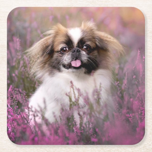 Cutest Baby Animals | Pekingese Puppy Underlägg Papper Kvadrat (Framsidan)