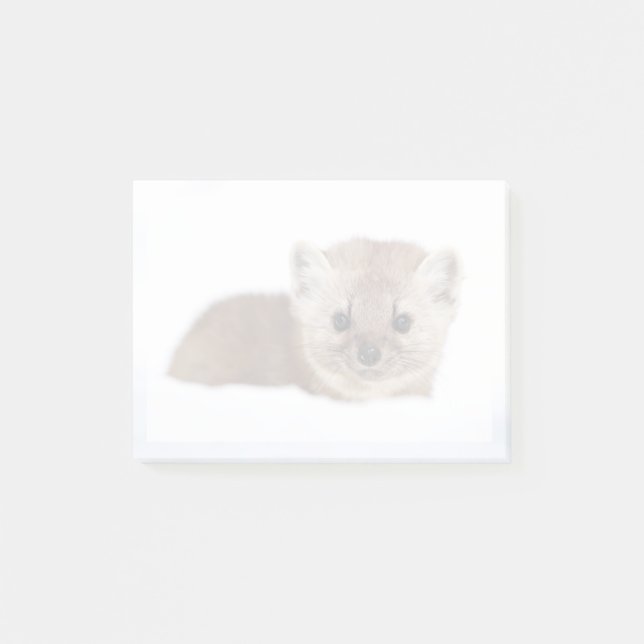 Cutest Baby Animals | Pine Marten Post-it Block (Framsida)