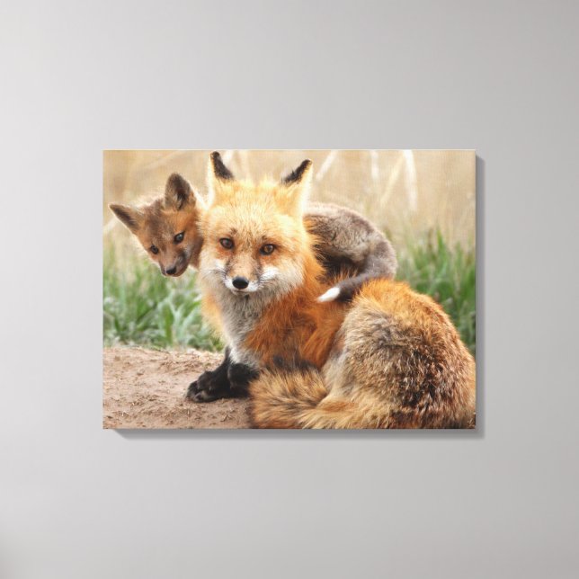 Cutest Baby Animals | Red Fox & Baby Canvastryck (Framsida)