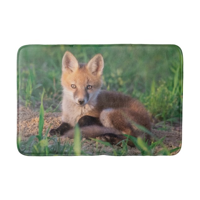 Cutest Baby Animals | Red Fox Kit Relaxing Badrumsmatta (Framsidan)