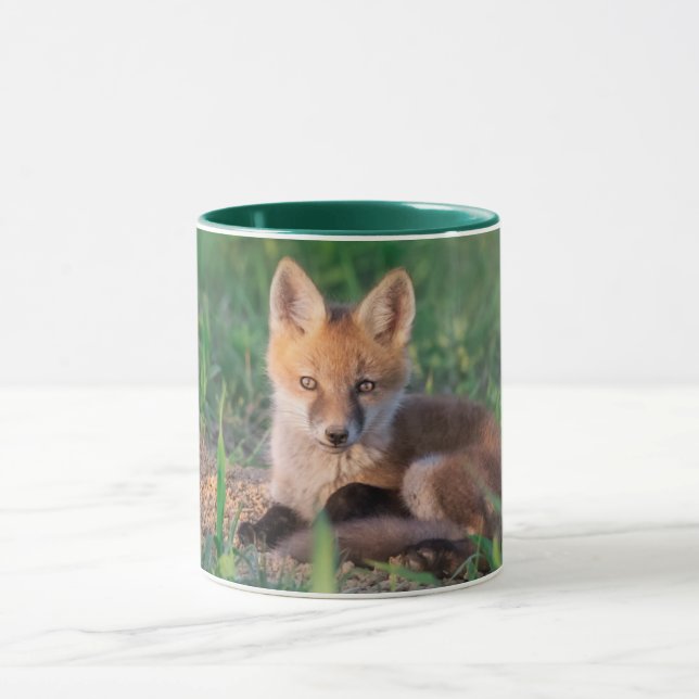 Cutest Baby Animals | Red Fox Kit Relaxing Mugg (Center)