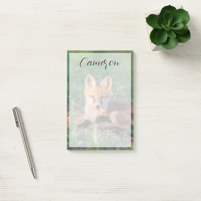 Cutest Baby Animals | Red Fox Kit Relaxing Post-it Block (Kontor)