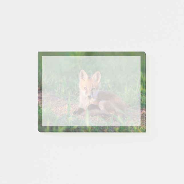 Cutest Baby Animals | Red Fox Kit Relaxing Post-it Block (Framsida)