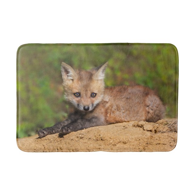 Cutest Baby Animals | Red Fox Pup Badrumsmatta (Framsidan)