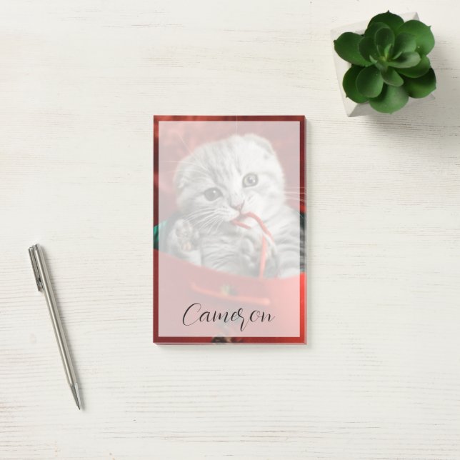 Cutest Baby Animals | Scottish Fold Kitten Post-it Block (Kontor)