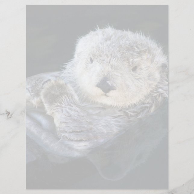 Cutest Baby Animals | Sea Otter Floating (Framsida)