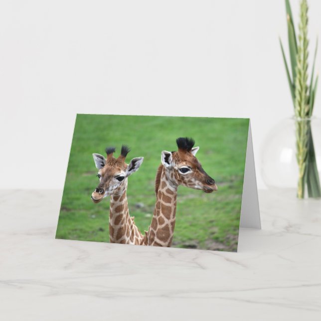 Cutest Baby Animals | Two Baby Giraffes Kort (Framsida)