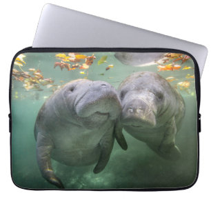 Cutest Baby Animals Two Manatees Laptop Fodral