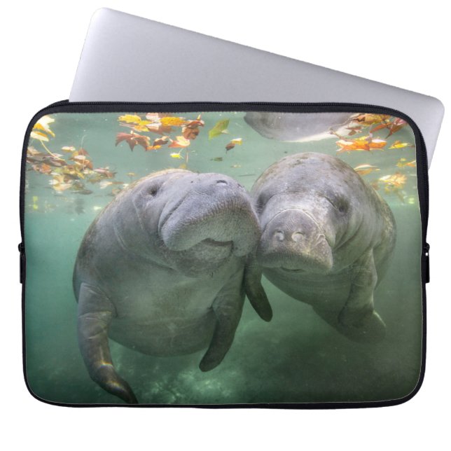 Cutest Baby Animals | Two Manatees Laptop Fodral (Framsidan)