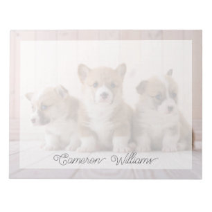 Cutest Baby djur   3 Baby Corgis Anteckningsblock
