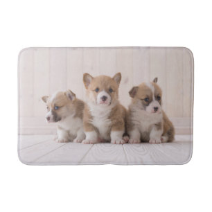 Cutest Baby djur   3 Baby Corgis Badrumsmatta