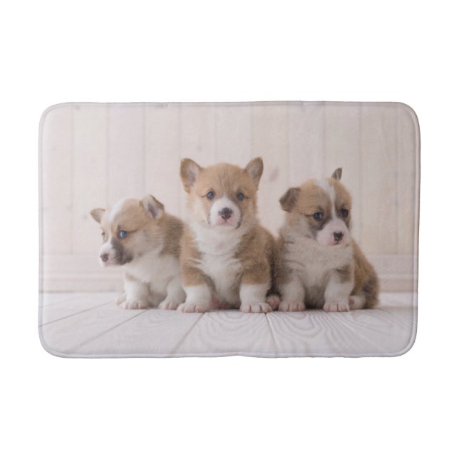 Cutest Baby djur | 3 Baby Corgis Badrumsmatta (Framsidan)