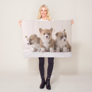 Cutest Baby djur 3 Baby Corgis Fleecefilt