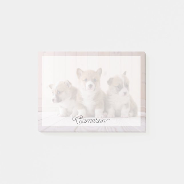 Cutest Baby djur | 3 Baby Corgis Post-it Block (Framsida)