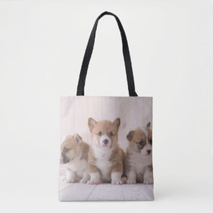 Cutest Baby djur 3 Baby Corgis Tygkasse