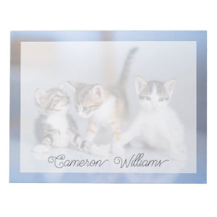 Cutest Baby djur 3 Kittens tabbar Anteckningsblock