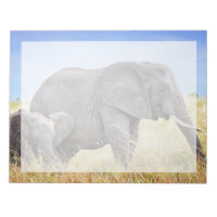 Cutest Baby djur | Afrikanskt elefant och Mor