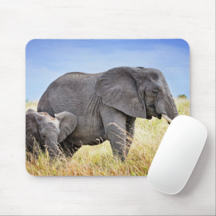 Cutest Baby djur Afrikanskt elefant och Mor Musmatta