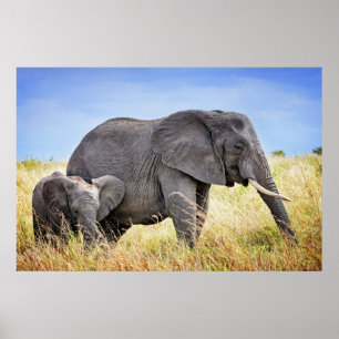 Cutest Baby djur   Afrikanskt elefant och Mor Poster
