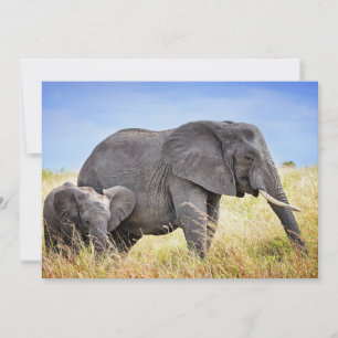Cutest Baby djur Afrikanskt elefant och Mor Tack Kort