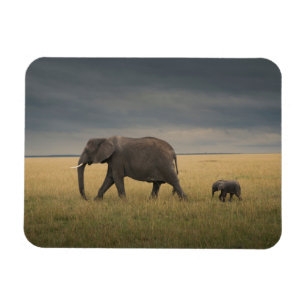 Cutest Baby djur Afrikas elefantfamilj Magnet