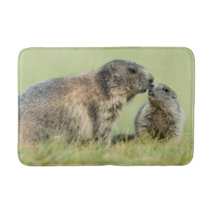 Cutest Baby djur   Alpine Marmot Family Badrumsmatta
