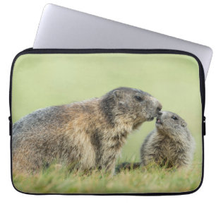 Cutest Baby djur Alpine Marmot Family Laptop Fodral