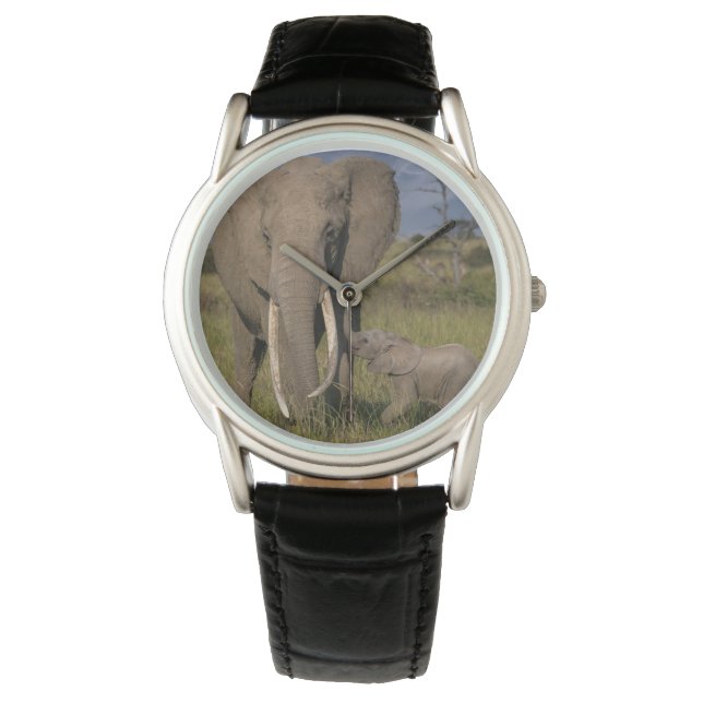 Cutest Baby djur | Amama elefant med Baby Armbandsur (Framsida)